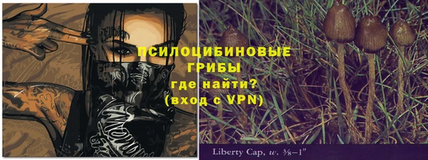 МДПВ Алзамай