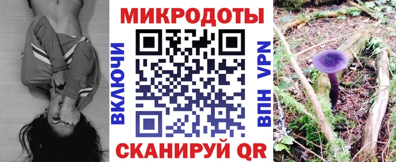 Галлюциногенные грибы Psilocybe  mega как зайти  Райчихинск  магазин продажи  